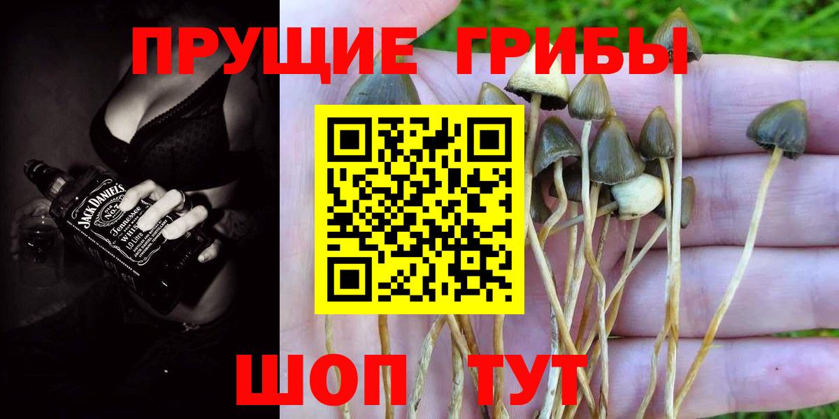 Псилоцибиновые грибы мицелий  Вход с VPN  Артём 