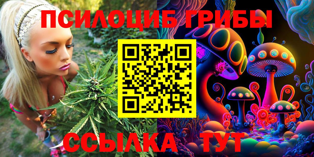 Псилоцибиновые грибы GOLDEN TEACHER Артём